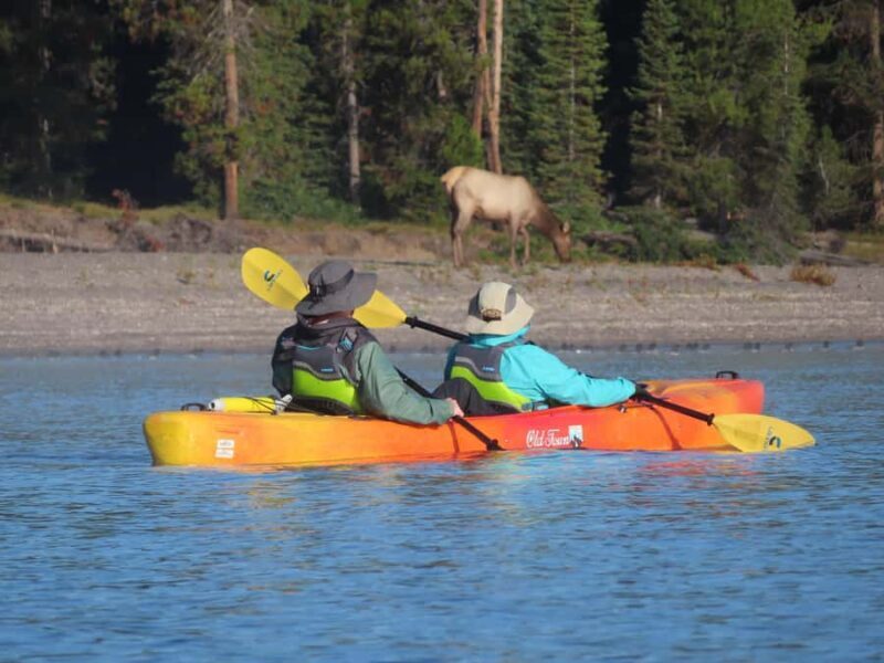 Grant Village: Yellowstone Lake Guided Kayak Tour with Lunch - Practical Tips for Participants