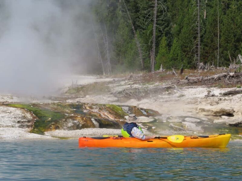 Grant Village: Yellowstone Lake Guided Kayak Tour with Lunch - The Sum Up