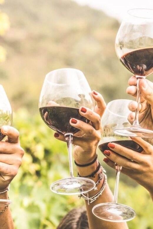 Grape Escapes Full-Day Private Wine Tour in Ithaca - The Wineries and Tasting Experience