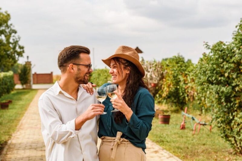 Grape Escapes Full-Day Private Wine Tour in Ithaca - Who Should Consider This Tour?