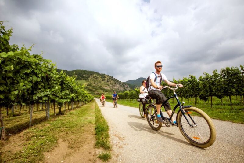 Grape Grazing: Wachau Valley Winery Biking Tour - Key Points