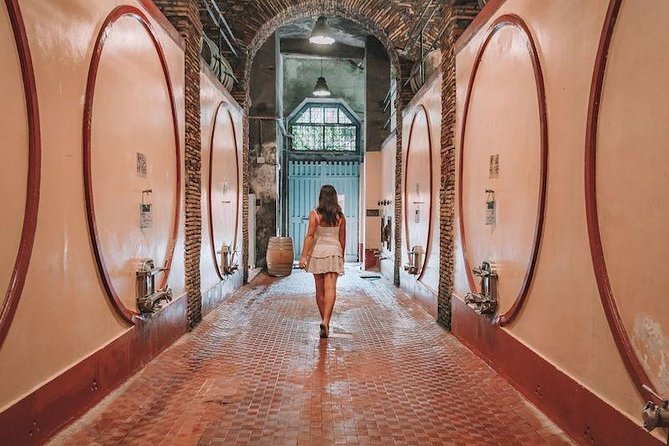 Grape Stomping and Harvest Experience: Wine & Tasting Tour Rome - Frequently Asked Questions