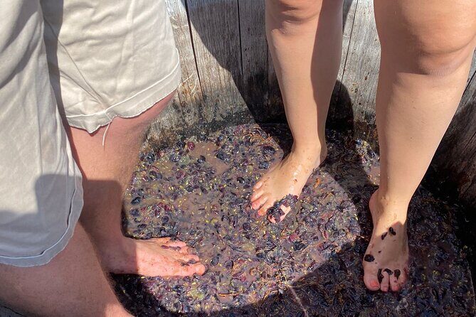 Grape Stomping Experience and Wine Tasting - An In-Depth Look at the Grape Stomping Experience
