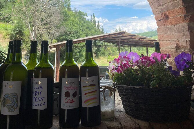 Grape Stomping Experience and Wine Tasting - The Sum Up