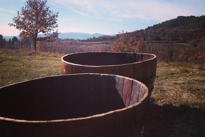 Grape Stomping in Provence - Overview of the Activity