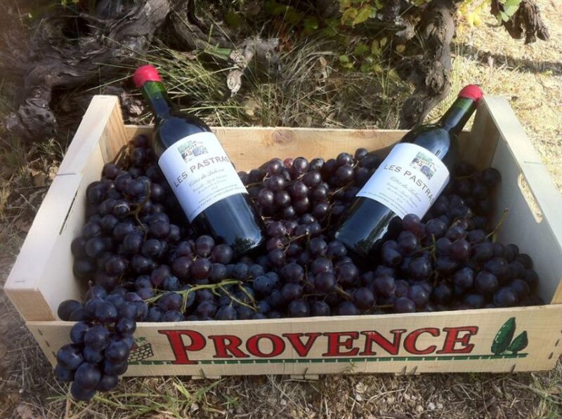 Grape Stomping in Provence - Seasonal Availability