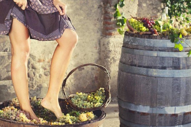 Grape Stomping in Tuscan Farmhouse From Florence - Tasting and Lunch