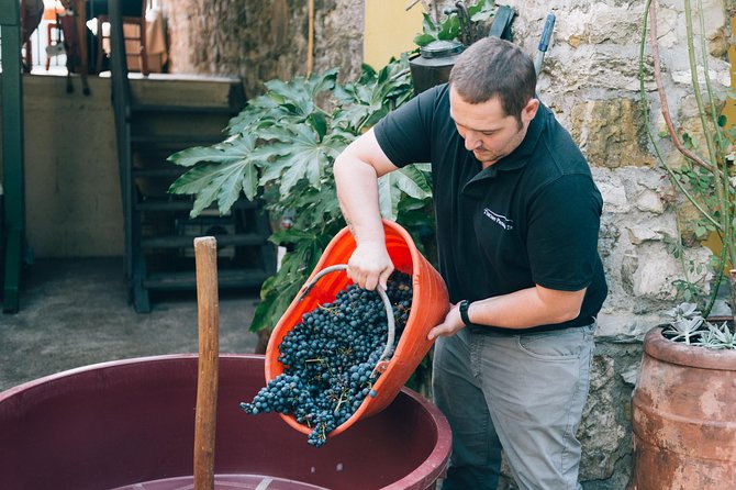 Grape Stomping in Tuscan Farmhouse From Florence - Cancellation Policy