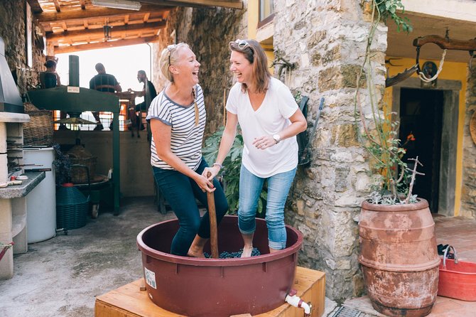 Grape Stomping in Tuscan Farmhouse From Florence - Customer Support