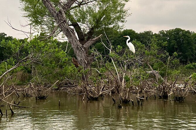 Grapevine Lake Kayak Eco Tour - Meeting Point and Timing