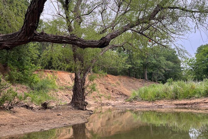 Grapevine Lake Kayak Eco Tour - Analyzing the Price and Overall Value