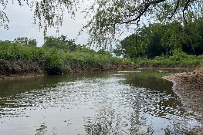 Grapevine Lake Kayak Eco Tour - The Sum Up