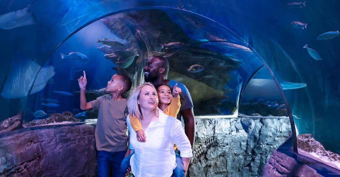 Grapevine: SEA LIFE Grapevine Aquarium General Admission - Facilities