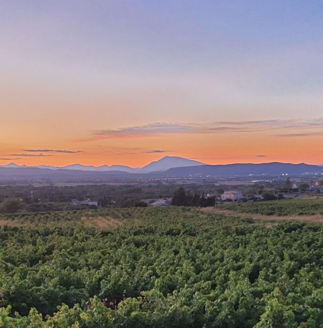 Gras: Sunset Tour on Electric Bike & Wine Tasting - Languages Offered