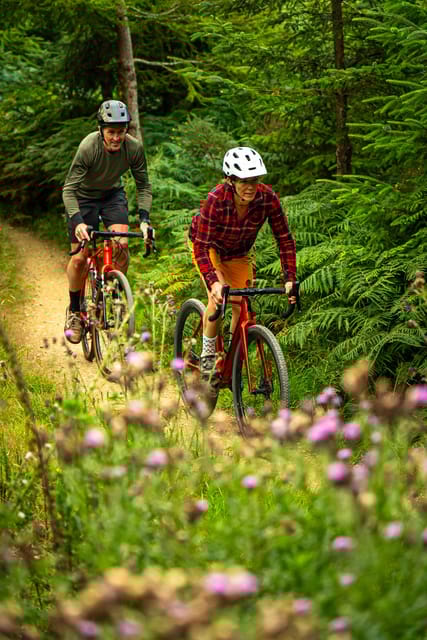 Gravel Bike Ride Dublin - Key Points