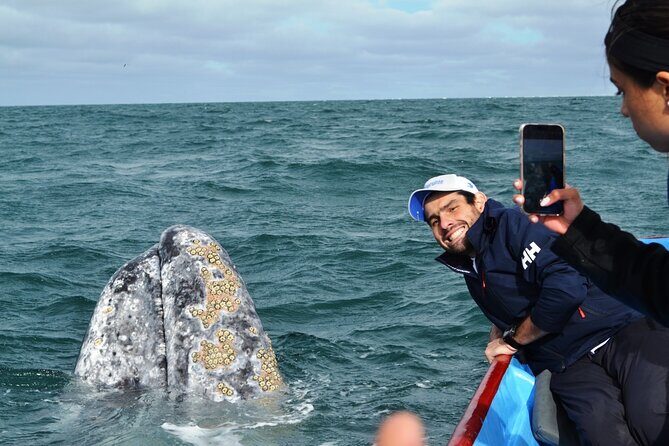 Gray Whale Watching in Bahia Magdalena - Key Points