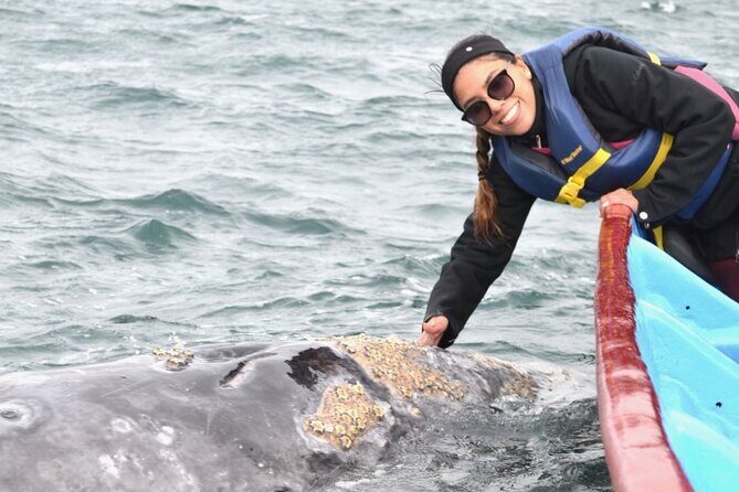 Gray Whale Watching in Bahia Magdalena - An In-Depth Look at the Bahia Magdalena Whale-Watching Tour