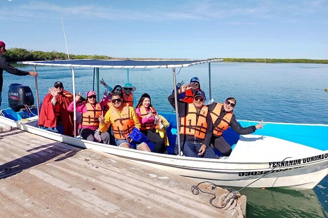 Gray Whale watching in Magdalena Bay From Los Cabos - The Journey to Magdalena Bay: What to Expect