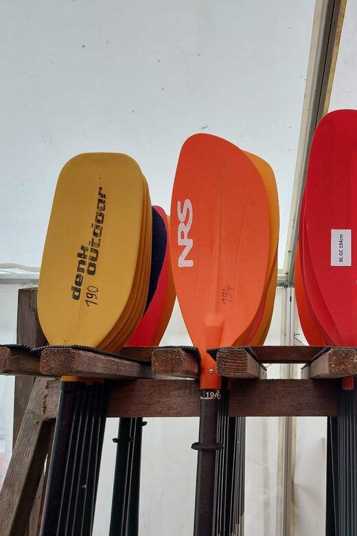 Graz: Kayak beginner tour on the Mur - Key Points