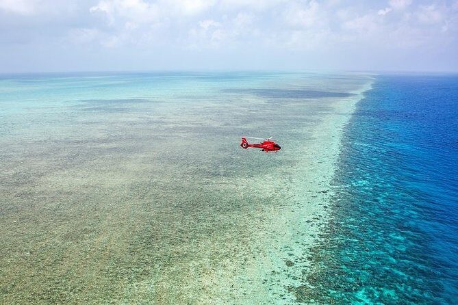 Great Barrier Reef 30-Minute Scenic Helicopter Tour from Cairns - What to Expect on the Tour