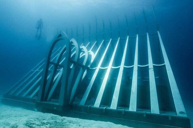 Great Barrier Reef and MOUA Cruise from Townsville or Magnetic Island - The Value and Who It’s For