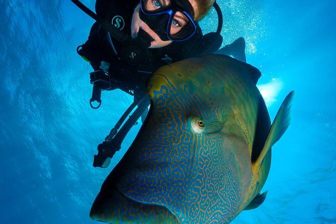 Great Barrier Reef Cruise - Gold Class VIP Lounge Package - Final Thoughts