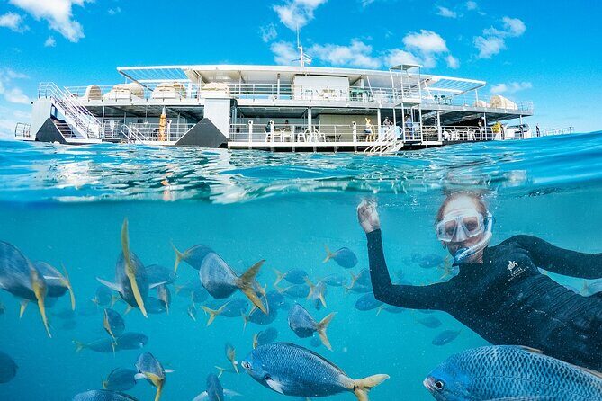 Great Barrier Reef Full Day Adventure - Transportation and Departure