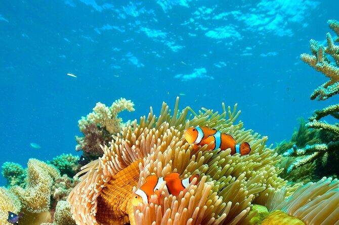 Great Barrier Reef Indulgence Package from Cairns - Practical Details