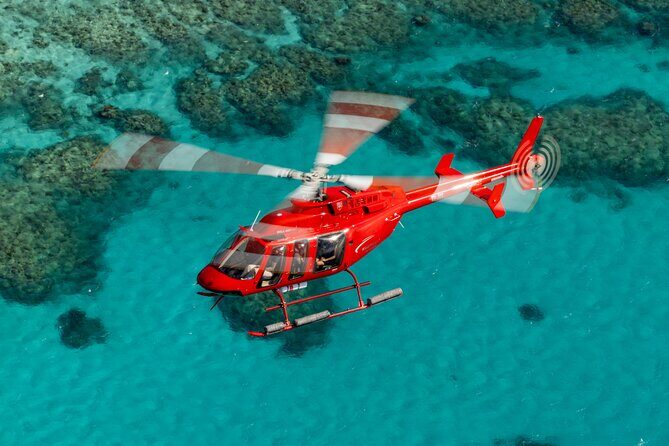 Great Barrier Reef or Rainforest Scenic Flights from Port Douglas - Key Points