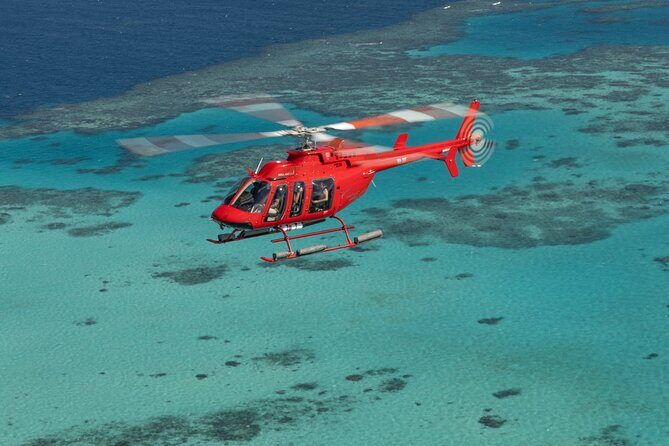 Great Barrier Reef or Rainforest Scenic Flights from Port Douglas - The Value and What It Means for You