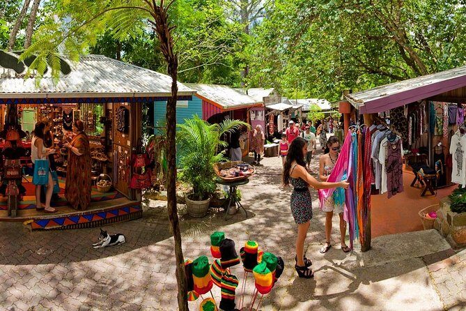 Great Barrier Reef or Rainforest Scenic Flights from Port Douglas - Frequently Asked Questions