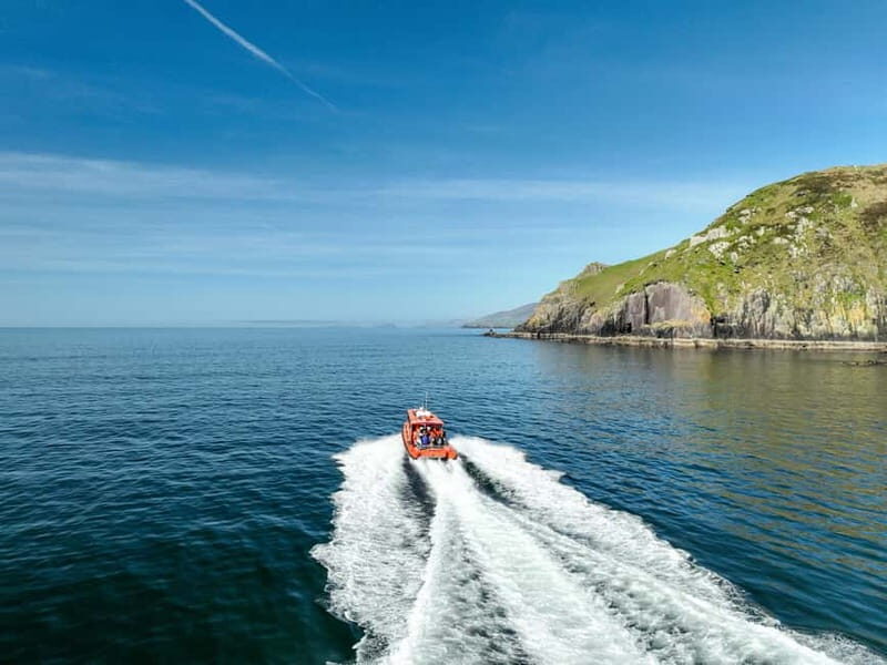 Great Blasket Island Wildlife Tour with Island Landing - Key Points