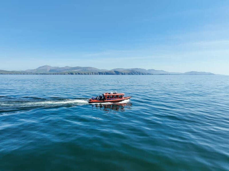 Great Blasket Island Wildlife Tour with Island Landing - A Detailed Look at the Tour Experience