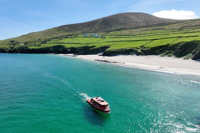 Great Blasket Island Wildlife Tour with Island Landing - Who Will Love This Tour?