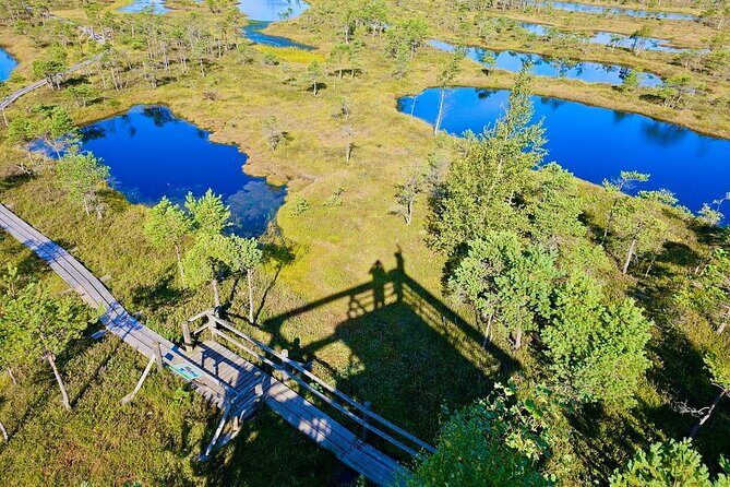 Great emeri Bog and Swamp Forest Hiking Adventure - An In-Depth Look at the Kemeri Bog and Swamp Forest Tour