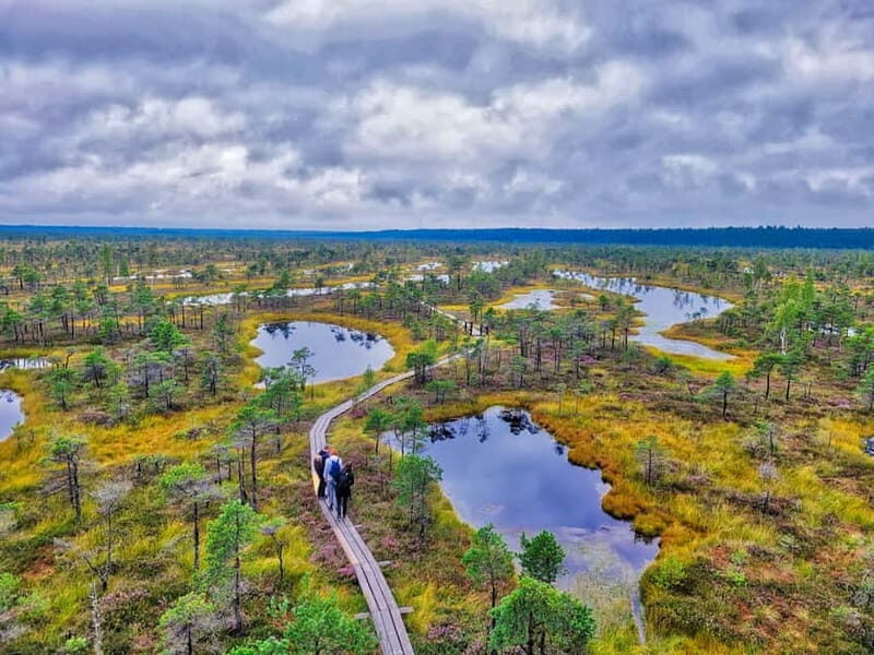 Great emeri Bog & Swamp Forest Hiking Adventure - Discovering Kemeri National Park: An Authentic Latvia Experience