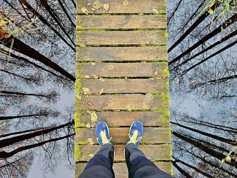 Great emeri Bog & Swamp Forest Hiking Adventure - The Sum Up: Who Will Love This Tour?