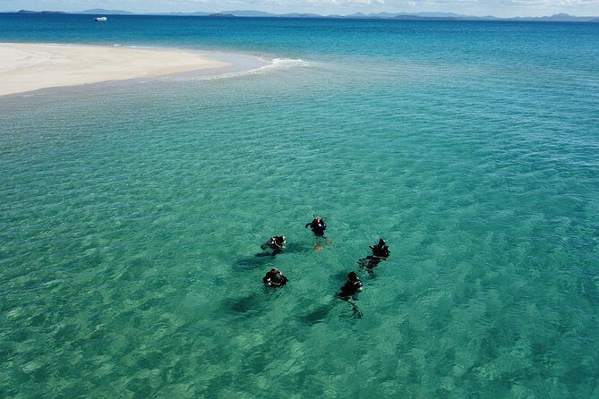 Great Keppel Island PADI Discover Scuba Dive with Keppel Dive - Key Points