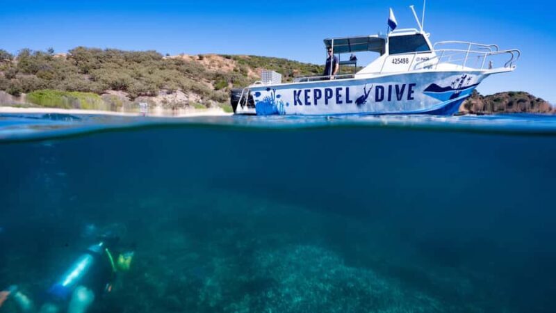 Great Keppel Island: PADI Discover SCUBA Diving - The Authentic Touch: Reviews and Real Experiences