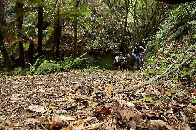Great Lake Trail Lake Taupo 2-Day Mountain Biking Tour - Booking Information and Policies
