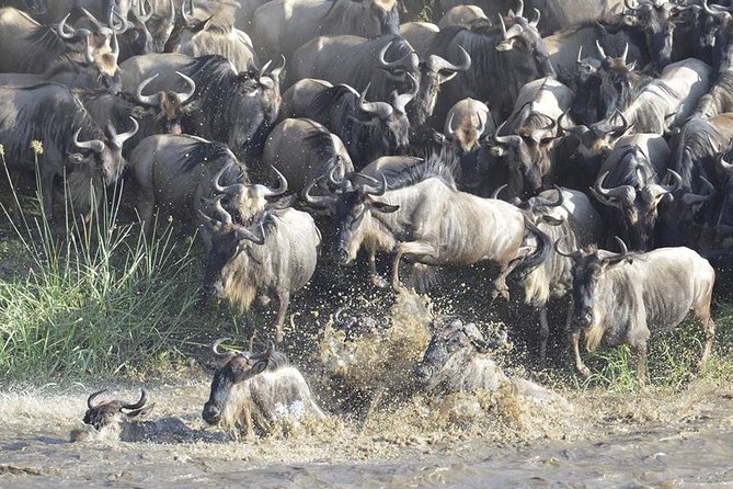 Great Migration Safari In Tanzania - Safari Destinations