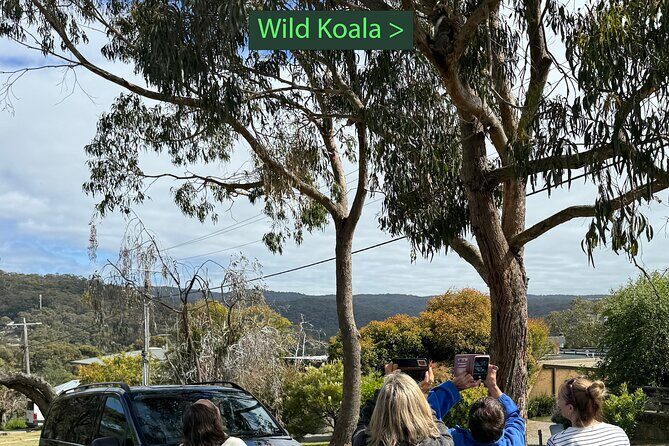 Great Ocean Road 1 Day Luxury Private Tour - Who Is This Tour Best For?