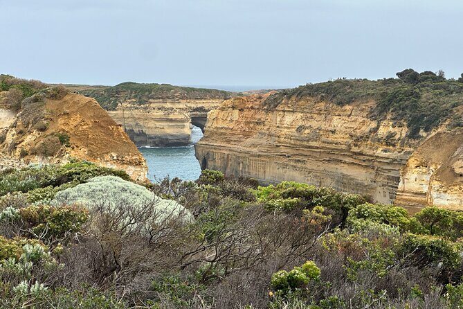 Great Ocean Road 12 apostles PRIVATE Luxury Tour 5 PAX all incl. - Potential Drawbacks and Considerations