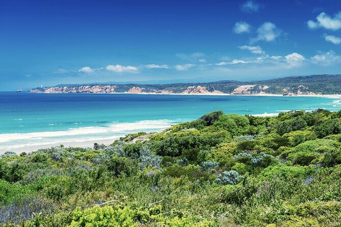 Great Ocean Road and 12 Apostles Tour - FAQs