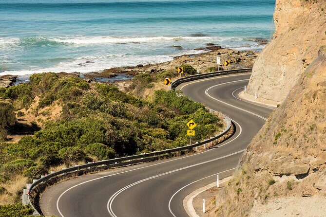 Great Ocean Road Coastal Spectcular with Wildlife Wonders - Detailed Breakdown of the Itinerary