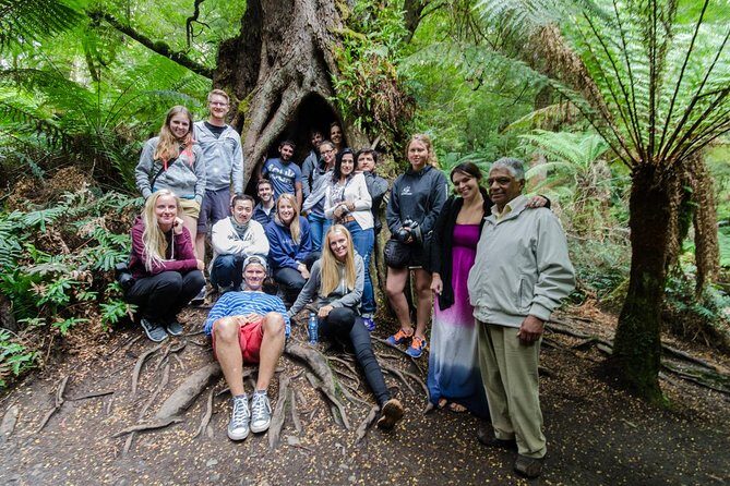 Great Ocean Road Grampians 2 Day Overnight Tour from Melbourne - An In-Depth Look at the Itinerary and Experiences