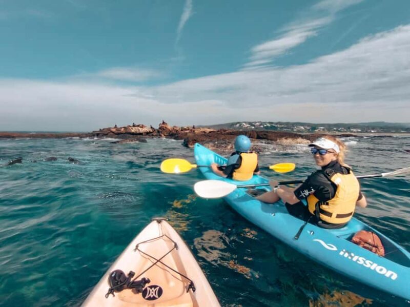 Great Ocean Road: Kayaking with Seals Tour - Key Points