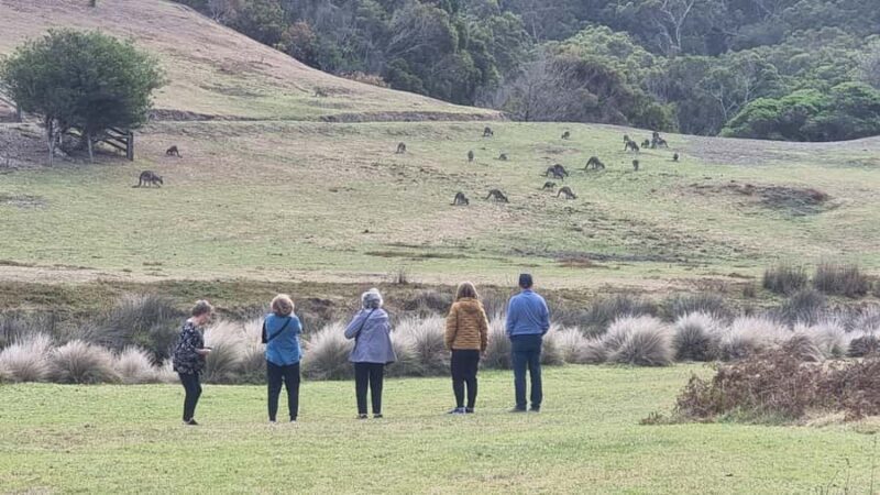 Great Ocean Road Lux Tour Max 11 Hotel Pickup - The Return and Drop-off