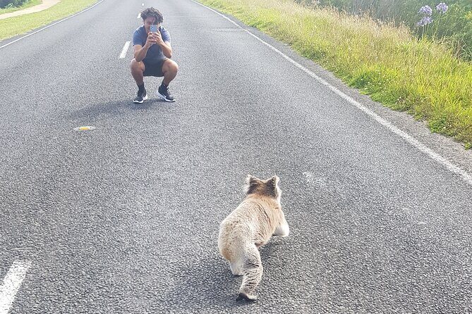 Great Ocean Road - Private Express Tour - Introduction
