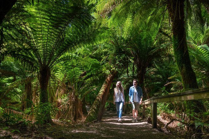Great Ocean Road Private Tour - Mount Defiance Lookout
